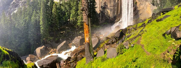 Yosemitský Národní Park Kalifornie Usa — Stock fotografie