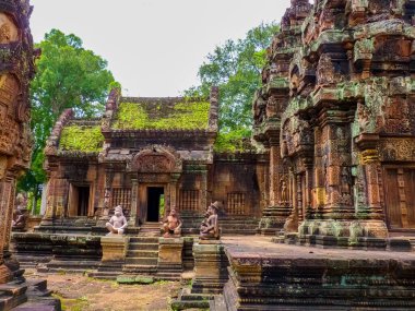 Banteay Srei Harabeleri Tapınağı, Angkor, Siem Reap, Kamboçya