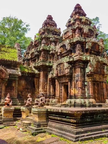 Banteay Srei Ruins Temple Angkor Siem Reap Cambodia — стокове фото