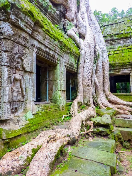 Angkor Thom Ruins Temple Siem Reap Cambodia — Stock Photo, Image