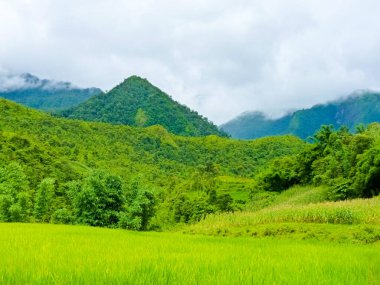 Vietnam 'ın kuzey dağlarında Sapa (Chapa) yakınlarındaki Catcat Hmong köyü, Lao Cai, Vietnam