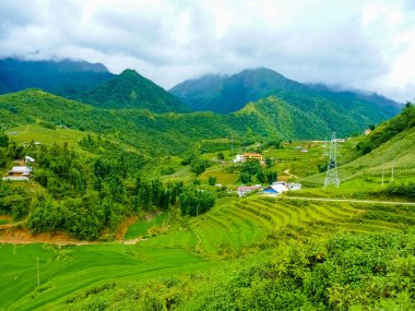 Vietnam 'ın kuzeyindeki Sapa (Chapa) yakınlarında Lao Cai pirinç tarlaları, Lao Cai, Vietnam