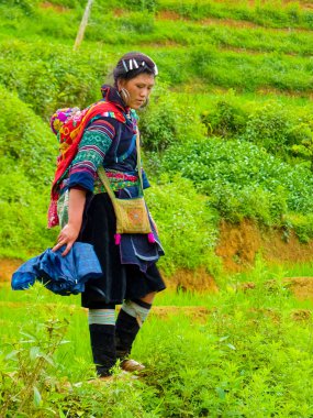 Lao Cai, Lao Cai Eyaleti, Vietnam - 18 Temmuz 2013: Sapa (Chapa) yakınlarındaki Lao Cai pirinç tarlalarında yapılan yürüyüş sırasında Hmong kadını