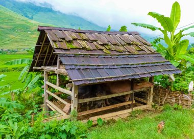 Vietnam 'ın kuzeyindeki Sapa (Chapa) yakınlarındaki Lao Cai köprüsü, Lo Cai, Vietnam
