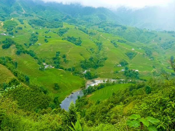 Lao Cai Rice Fields Sapa Chapa North Mountains Vietnam Lao — Stock Photo, Image