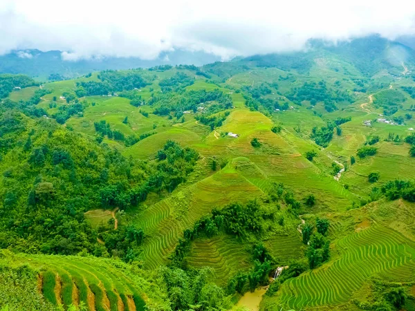 Lao Cai Rice Fields Sapa Chapa North Mountains Vietnam Lao — Stock Photo, Image