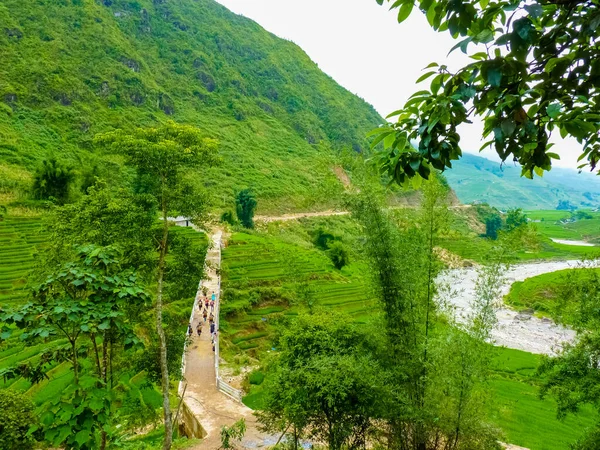 Lao Cai Reisfelder Der Nähe Von Sapa Chapa Norden Vietnams — Stockfoto