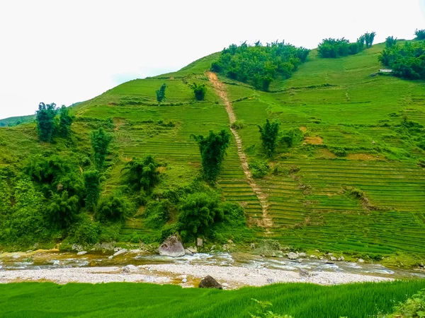 Lao Cai Reisfelder Der Nähe Von Sapa Chapa Norden Vietnams — Stockfoto