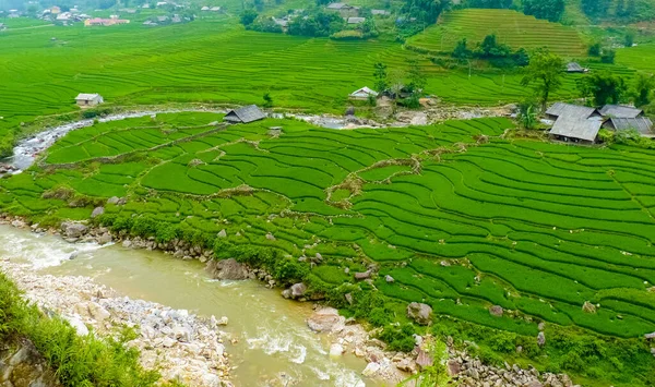 Lao Cai Rice Fields Sapa Chapa North Mountains Vietnam Lao — Stock Photo, Image