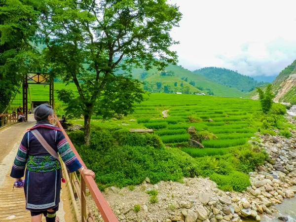 Lao Cai Provincie Lao Cai Vietnam Juli 2013 Hmong Vrouw — Stockfoto