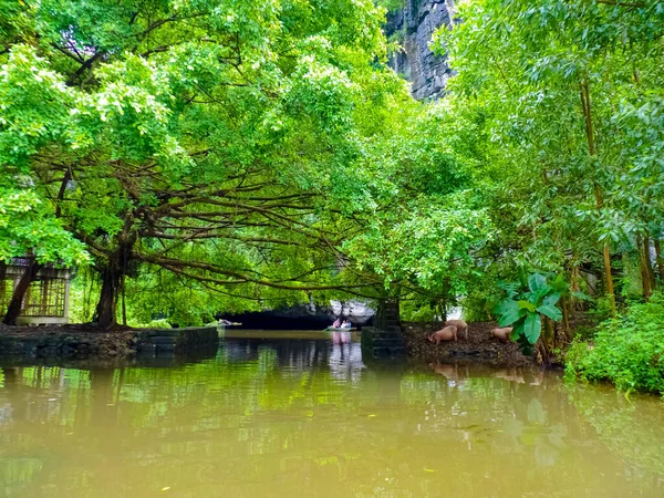 Hiljainen Ratsastaa Rauhallinen Tam Coc River Ninh Binh Vietnam — kuvapankkivalokuva