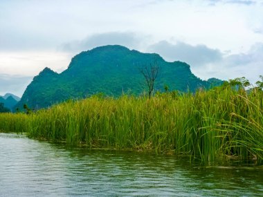 Huzurlu Tam Coc Nehri 'nde Sessiz Yolculuk, Ninh Binh, Vietnam
