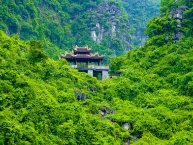 Huzurlu Tam Coc Nehri 'nde Sessiz Yolculuk, Ninh Binh, Vietnam