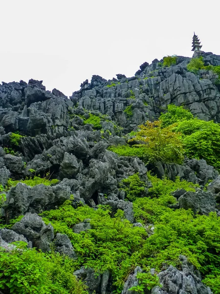 Powieś Pagodę Mua Ninh Binh Wietnam — Zdjęcie stockowe