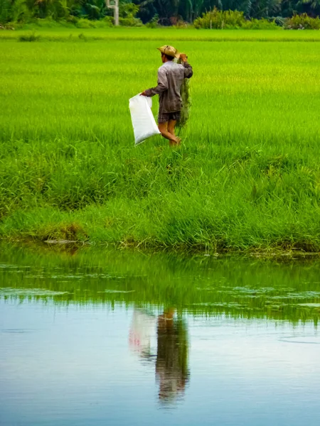 Mírumilovní Lidé Životní Styl Hoi Vietnam — Stock fotografie