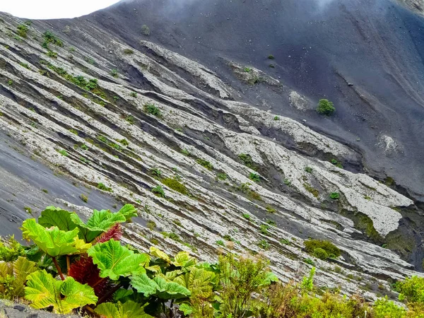 Parque Nacional Volcán Irazu Cartago Costa Rica —  Fotos de Stock