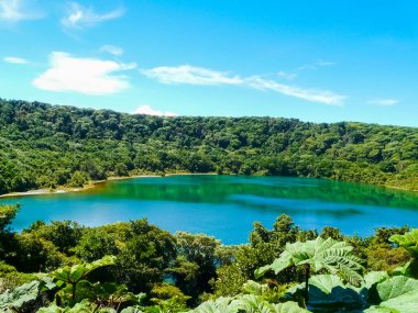Poas volkanı ulusal parkı, Alajuela, Kosta Rika