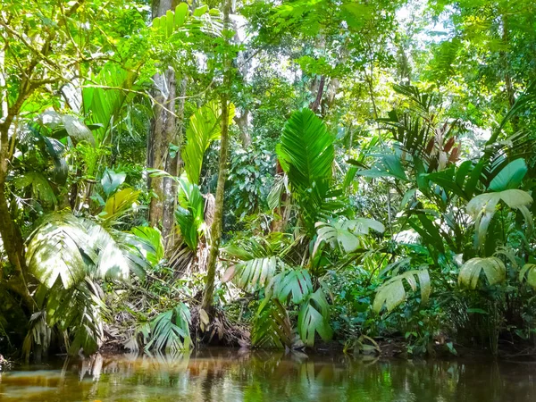 Parque Nacional Tortuguero Limón Costa Rica — Foto de Stock