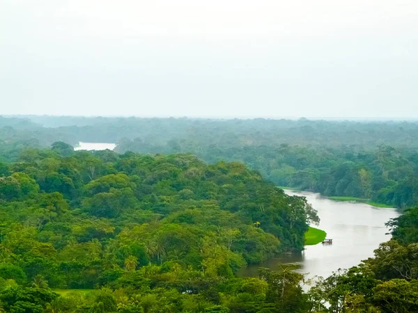 Parc National Tortuguero Limon Costa Rica — Photo