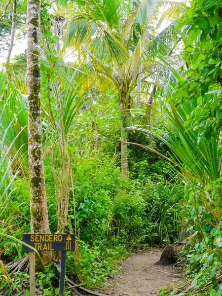 Parc National Cahuita Côte Des Caraïbes Costa Rica — Photo