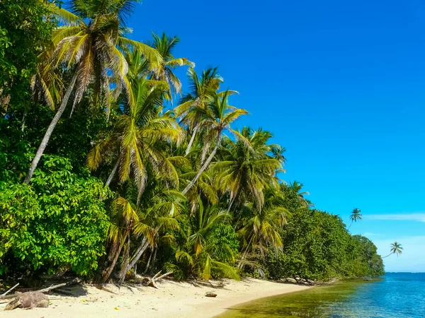 Пляж Национальном Парке Кахуита Карибское Побережье Коста Рика — стоковое фото