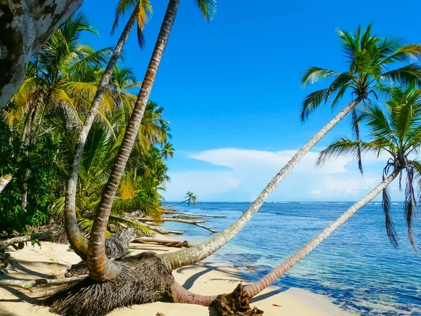 Playa Parque Nacional Cahuita Costa Caribe Costa Rica — Foto de Stock