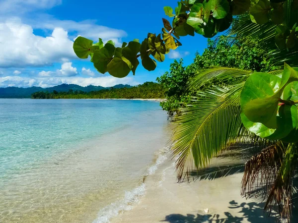 Strand Cahuita Nationalpark Karibiska Kusten Costa Rica — Stockfoto