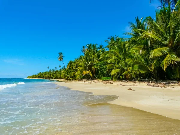 Пляж Национальном Парке Кахуита Карибское Побережье Коста Рика — стоковое фото