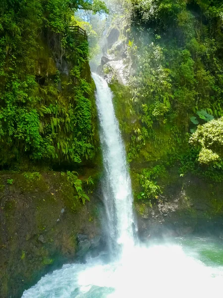 拉巴斯瀑布花园自然公园 哥斯达黎加阿拉胡埃拉 — 图库照片