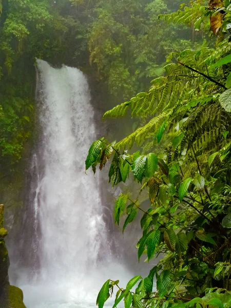 Paz Cachoeira Jardins Parque Natural Alajuela Costa Rica — Fotografia de Stock