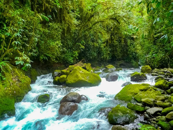 Parque Natural Paz Waterfall Gardens Alajuela Costa Rica —  Fotos de Stock
