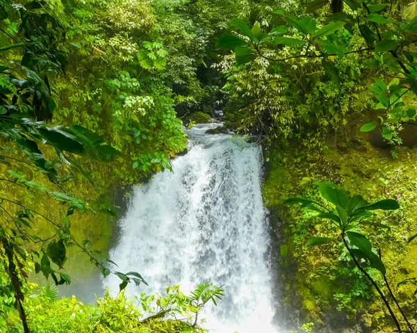 Arenal Vulkan Nationalpark Alajuela San Carlos Costa Rica — Stockfoto