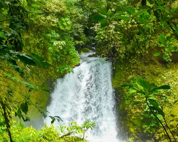 Národní Park Sopky Arenal Alajuela San Carlos Kostarika — Stock fotografie