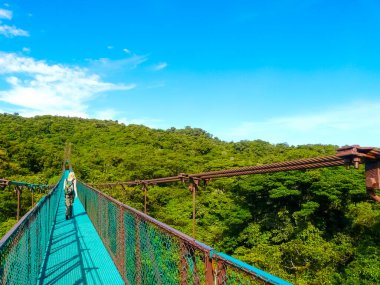 Monteverde Ulusal Parkı, Puntarenas, Kosta Rika