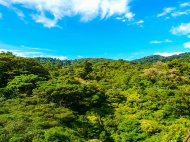 Monteverde Ulusal Parkı, Puntarenas, Kosta Rika