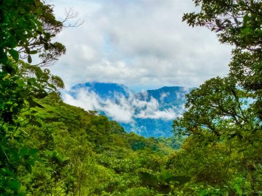 Monteverde Ulusal Parkı, Puntarenas, Kosta Rika