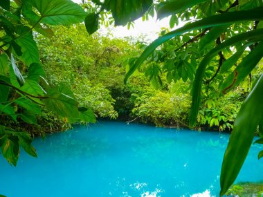 Rio Celeste, Tenorio volkanı Ulusal Parkı, Kosta Rika