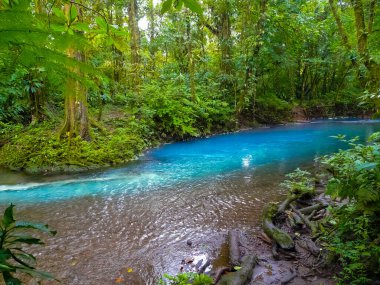 Rio Celeste, Tenorio volkanı Ulusal Parkı, Kosta Rika