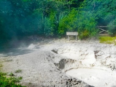 Rincon de la Vieja Ulusal Parkı 'nda kaynamış çamur tenceresi, Guanacaste, Kosta Rika