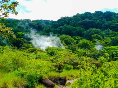 Rincon de la Vieja Ulusal Parkı 'nda kaynamış çamur tenceresi, Guanacaste, Kosta Rika