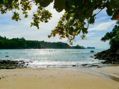 Manuel Antonio Ulusal Parkı, Quepos, Kosta Rika