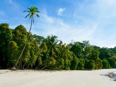 Manuel Antonio Ulusal Parkı, Quepos, Kosta Rika