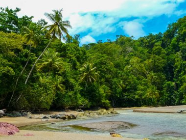 Corcovado Ulusal Parkı, Osa Yarımadası, Kosta Rika
