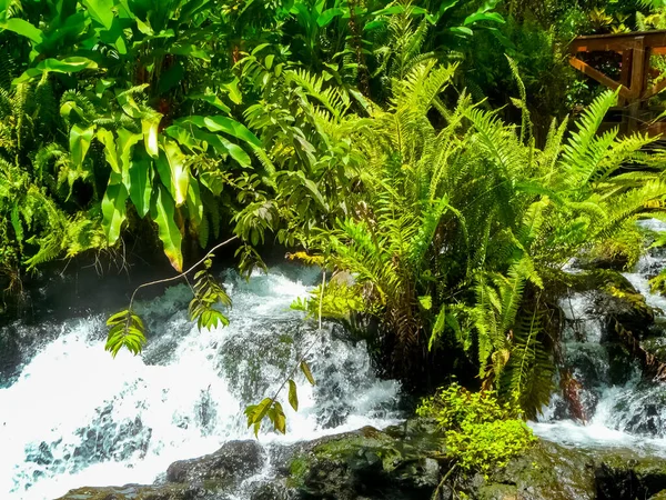 Tabacon Hot Springs River Arenal Volcano Alajuela San Carlos Kostarika — Stock fotografie