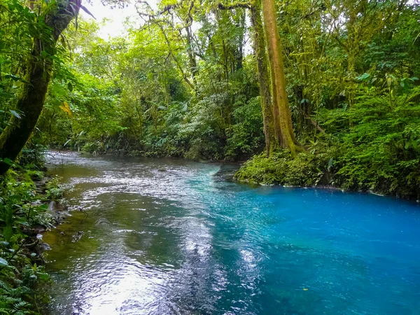 Rio Celeste Parco Nazionale Del Vulcano Tenorio Costa Rica — Foto Stock