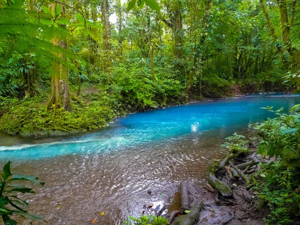 Rio Celeste Park Narodowy Tenorio Kostaryka — Zdjęcie stockowe