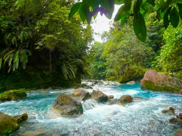 Rio Celeste Parco Nazionale Del Vulcano Tenorio Costa Rica — Foto Stock