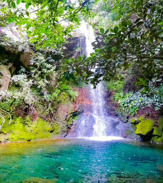 Catarata Escondida Rincon Vieja Ulusal Parkı Ganacaste Kosta Rika — Stok fotoğraf