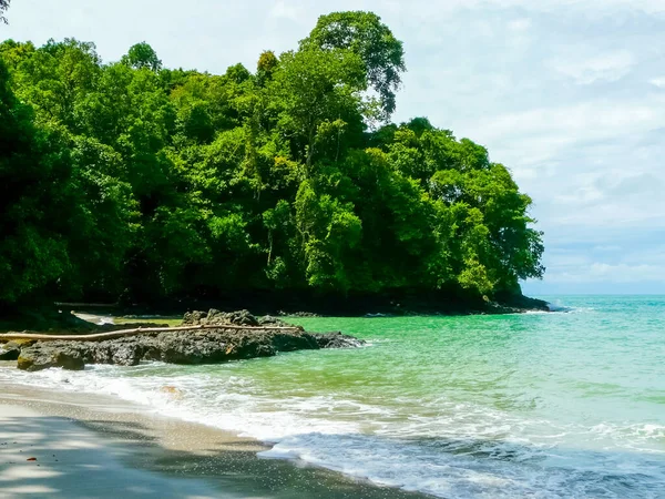 Nationaal Park Manuel Antonio Quepos Costa Rica — Stockfoto