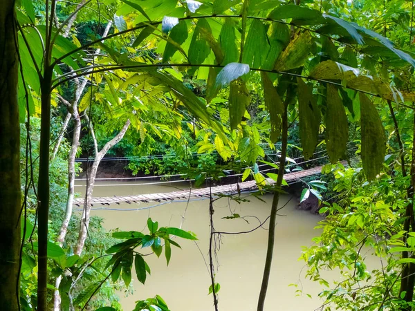 Parque Nacional Corcovado Península Osa Costa Rica — Foto de Stock